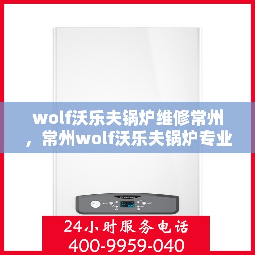 wolf沃乐夫锅炉维修常州，常州wolf沃乐夫锅炉专业维修服务