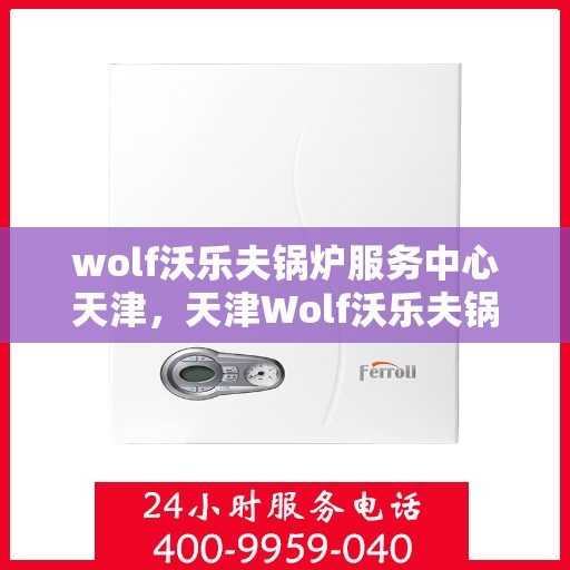 wolf沃乐夫锅炉服务中心天津，天津Wolf沃乐夫锅炉专业服务中心