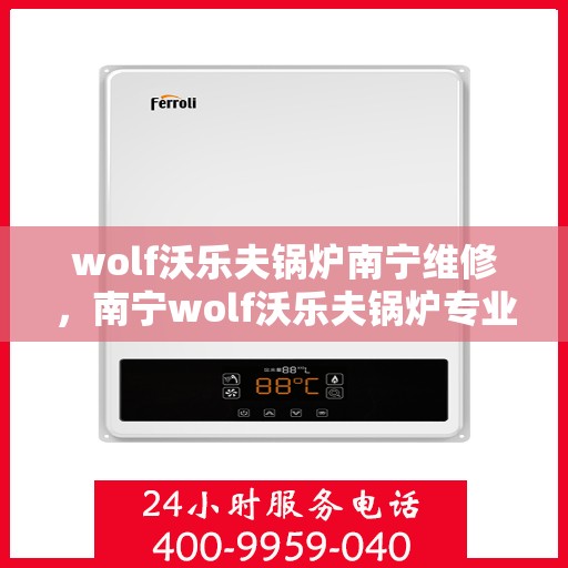 wolf沃乐夫锅炉南宁维修，南宁wolf沃乐夫锅炉专业维修服务